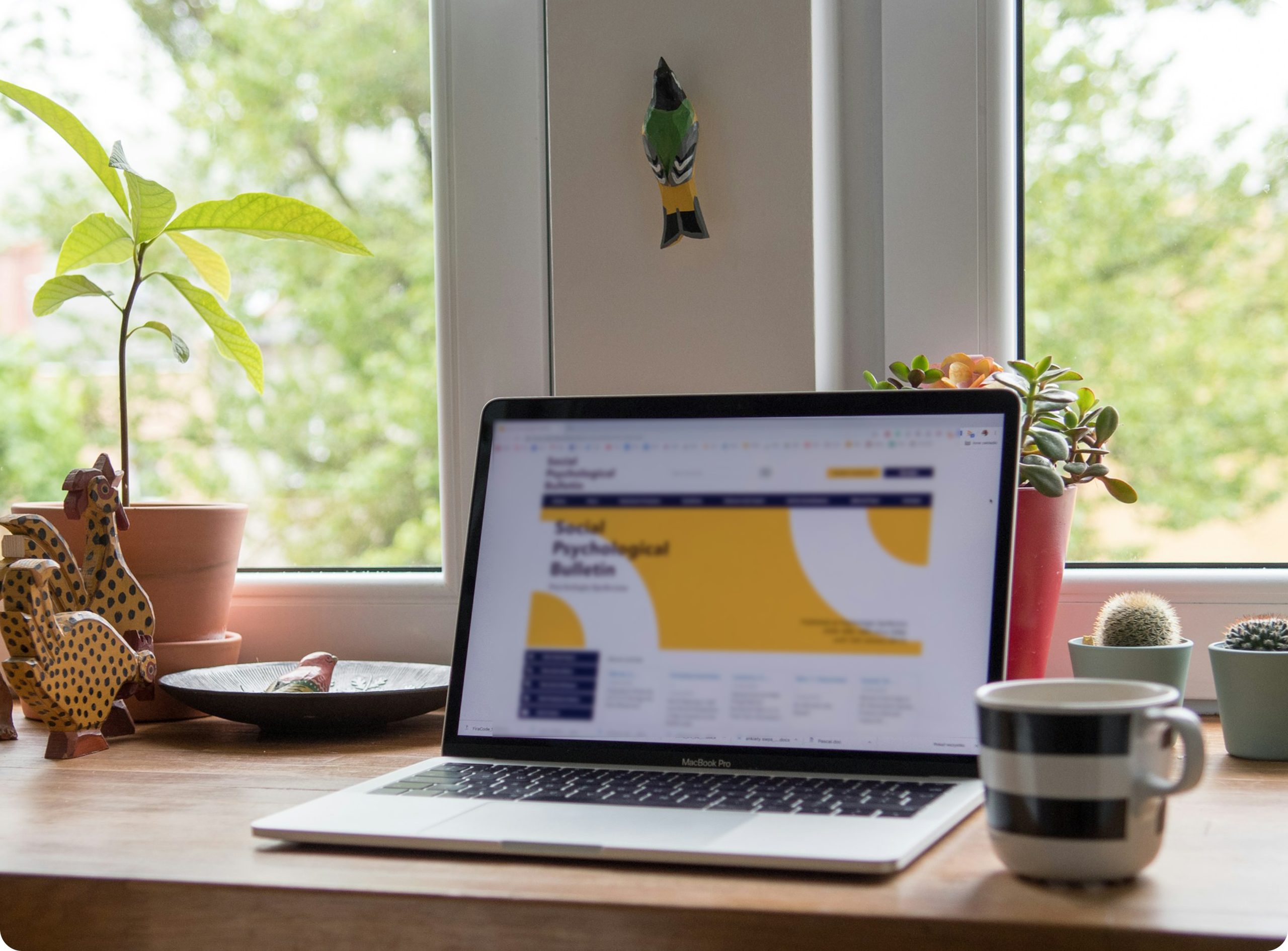 Website Design Agency